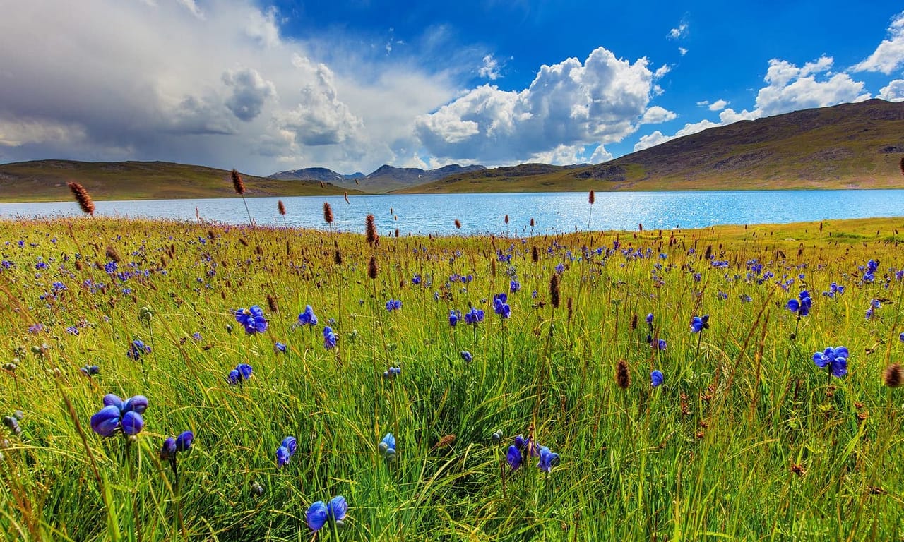 Deosai Plains — Deosai NP, GB