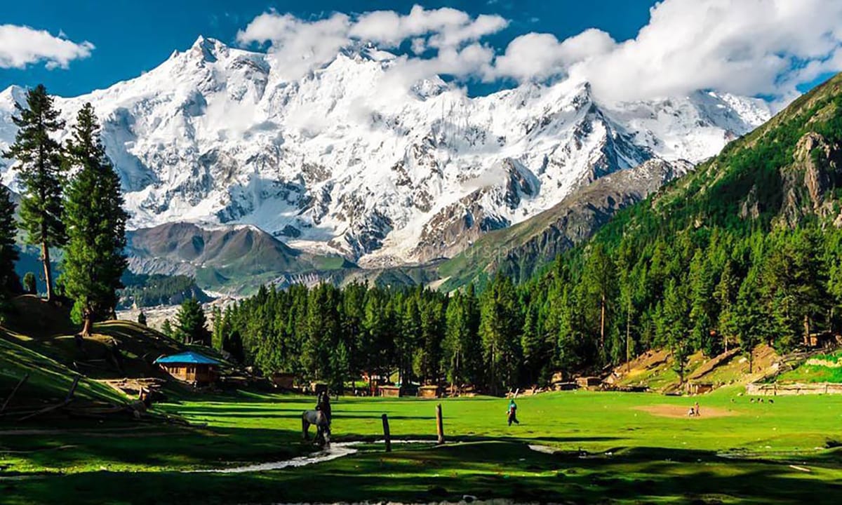 Fairy Meadows — Raikot, GB